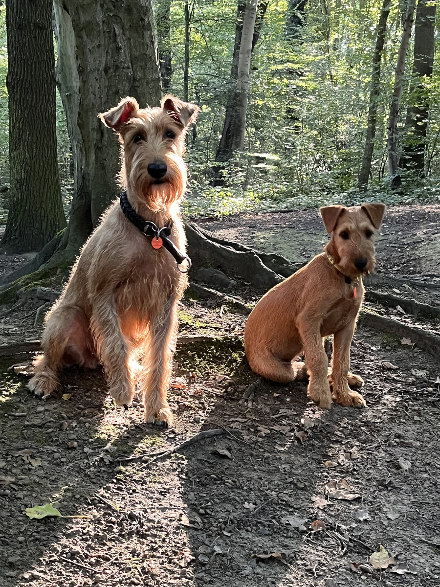 Scully & Tyra im Wald